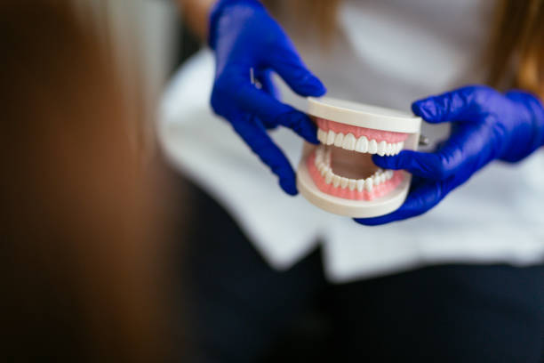 Professional  Holistic Dental Services in Fall Creek, WI